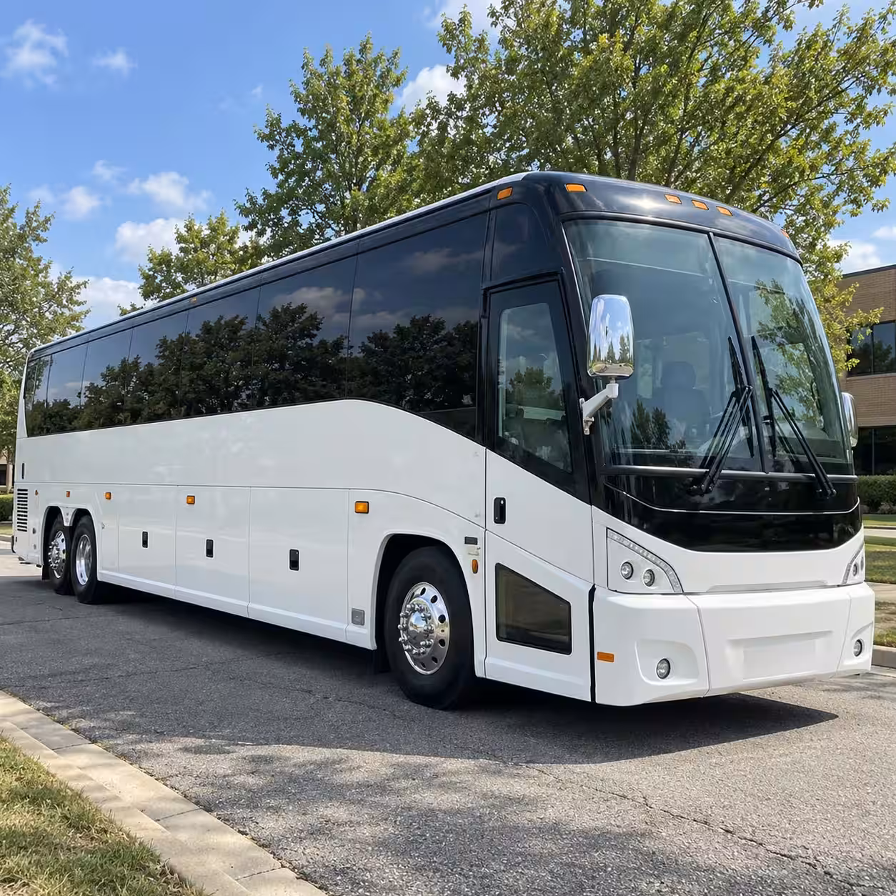 everett prom party bus rentals for waterfront dinners and photos