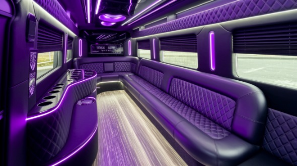 everett sprinter limo rental inside