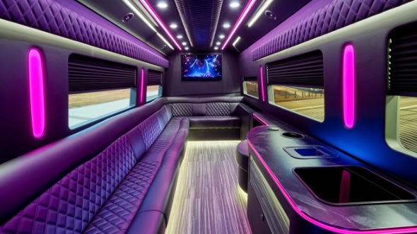 everett sprinter limo rental rental
